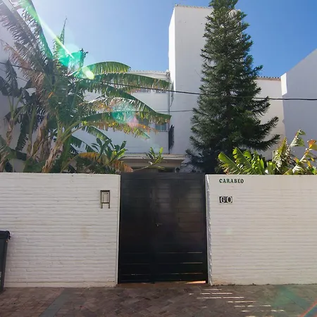 Carabeo 60 1c Menyber