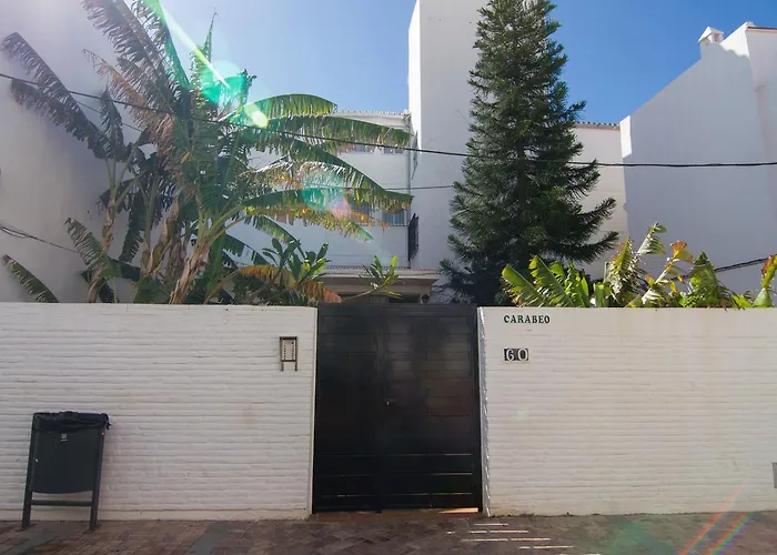 Carabeo 60 1c Menyber